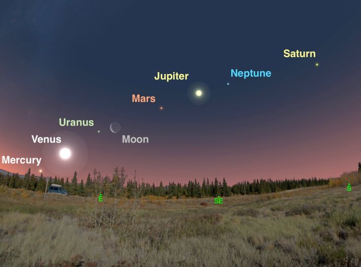 Alineación de planetas: el inusual fenómeno que se verá en el cielo nocturno tras 18 años