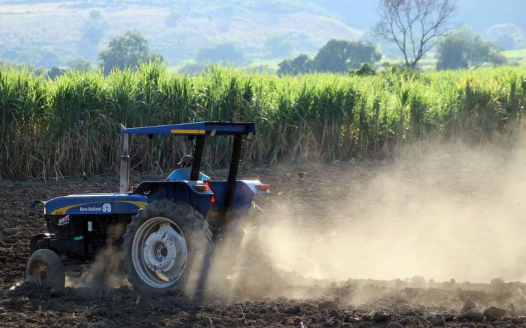 Precios al productor disminuyen en agosto, primer decrecimiento desde 2020