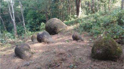 Encuentran 65 contenedores misteriosos en la selva de India, diseñados por una cultura desconocida